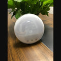AuraWake™ Voice Control Sunrise Alarm