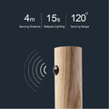 DriftSense™ Motion Sensor Wall Light