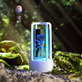 SoundAura™ Crystal Lamp + Bluetooth Speaker